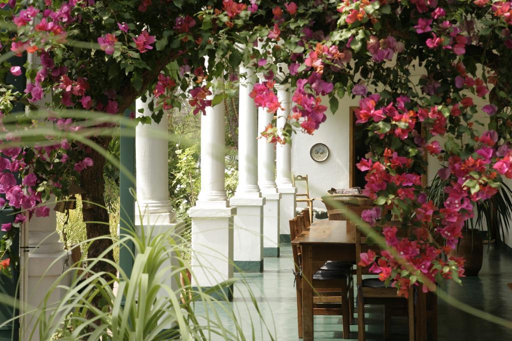 York Lodge Harare Extérieur photo